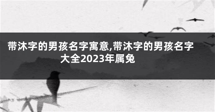 带沐字的男孩名字寓意,带沐字的男孩名字大全2023年属兔