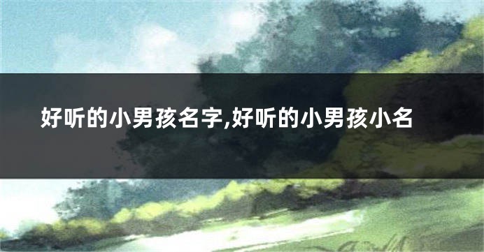 好听的小男孩名字,好听的小男孩小名