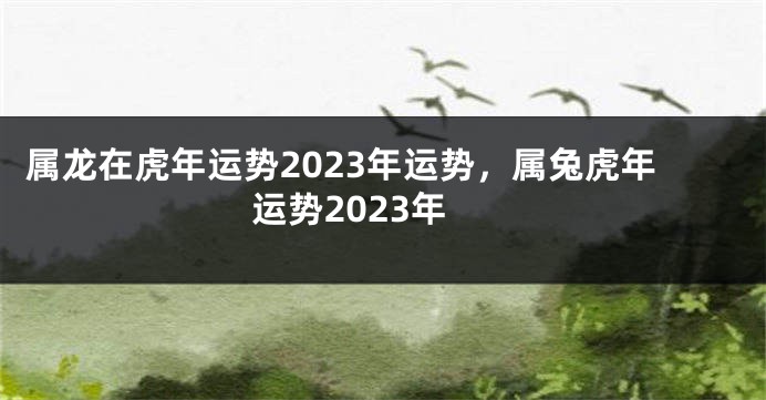 属龙在虎年运势2023年运势，属兔虎年运势2023年
