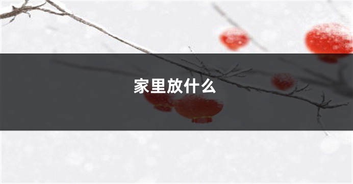 家里放什么