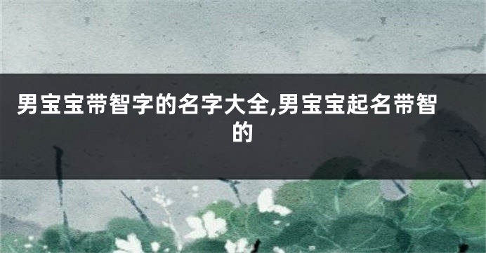男宝宝带智字的名字大全,男宝宝起名带智的