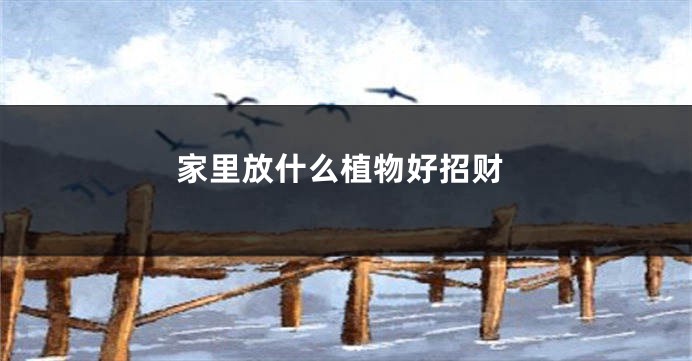 家里放什么植物好招财