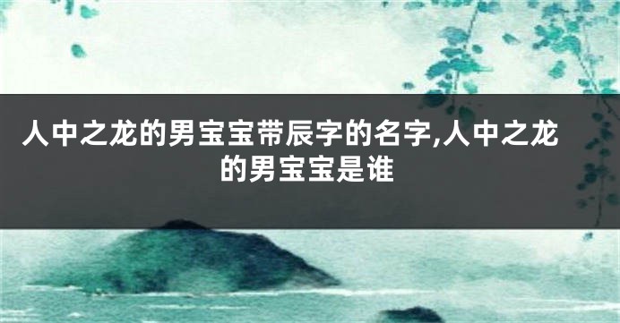 人中之龙的男宝宝带辰字的名字,人中之龙的男宝宝是谁