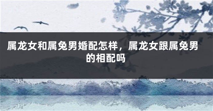 属龙女和属兔男婚配怎样，属龙女跟属兔男的相配吗
