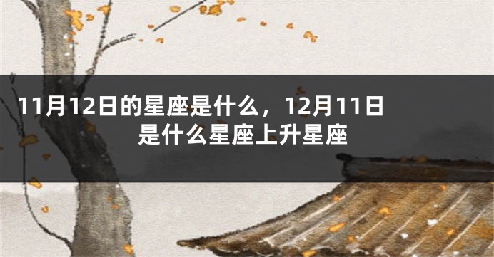 11月12日的星座是什么，12月11日是什么星座上升星座