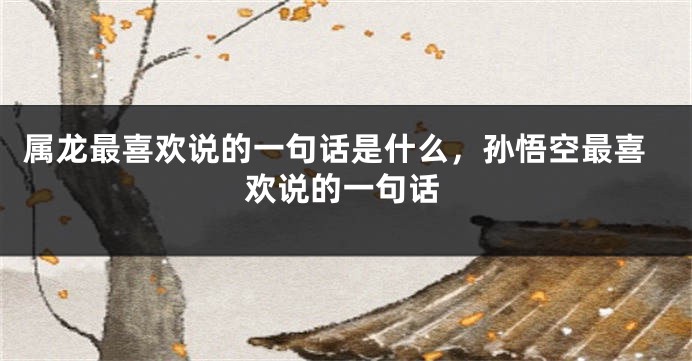 属龙最喜欢说的一句话是什么，孙悟空最喜欢说的一句话
