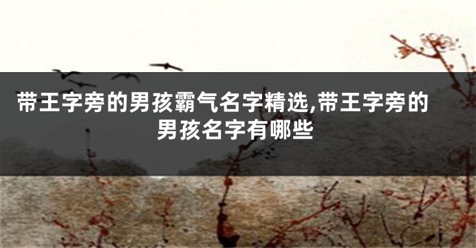 带王字旁的男孩霸气名字精选,带王字旁的男孩名字有哪些