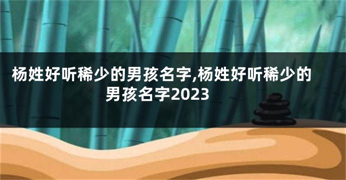 杨姓好听稀少的男孩名字,杨姓好听稀少的男孩名字2023
