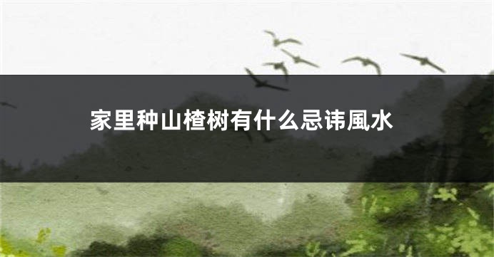 家里种山楂树有什么忌讳風水