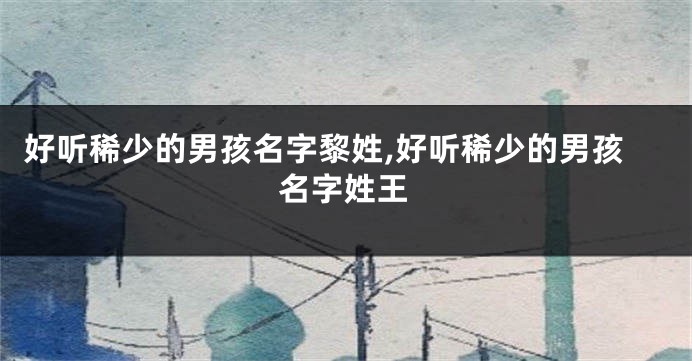好听稀少的男孩名字黎姓,好听稀少的男孩名字姓王
