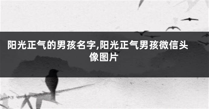 阳光正气的男孩名字,阳光正气男孩微信头像图片