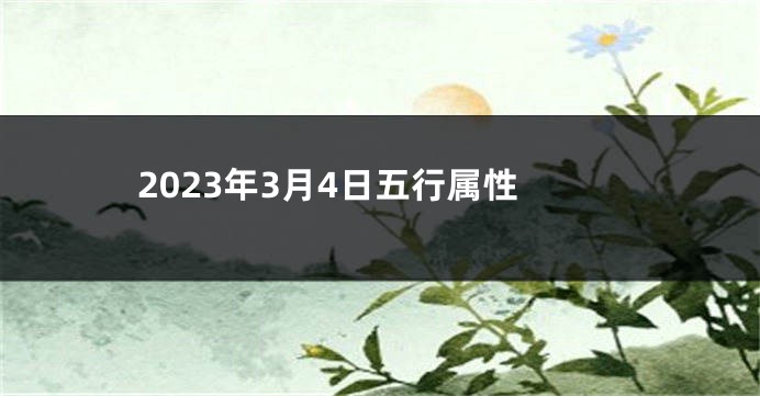 2023年3月4日五行属性