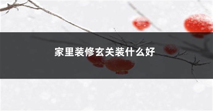 家里装修玄关装什么好