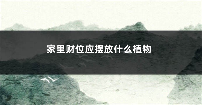 家里财位应摆放什么植物