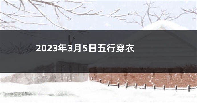 2023年3月5日五行穿衣