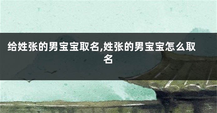给姓张的男宝宝取名,姓张的男宝宝怎么取名