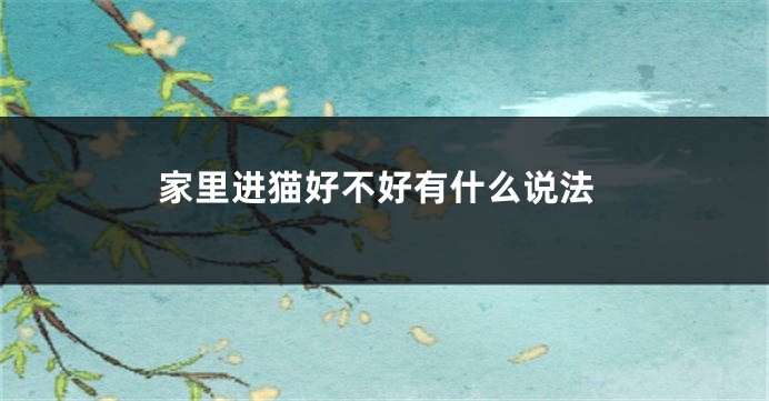 家里进猫好不好有什么说法