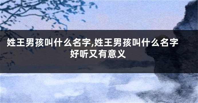姓王男孩叫什么名字,姓王男孩叫什么名字好听又有意义