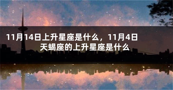 11月14日上升星座是什么，11月4日天蝎座的上升星座是什么