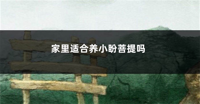 家里适合养小盼菩提吗