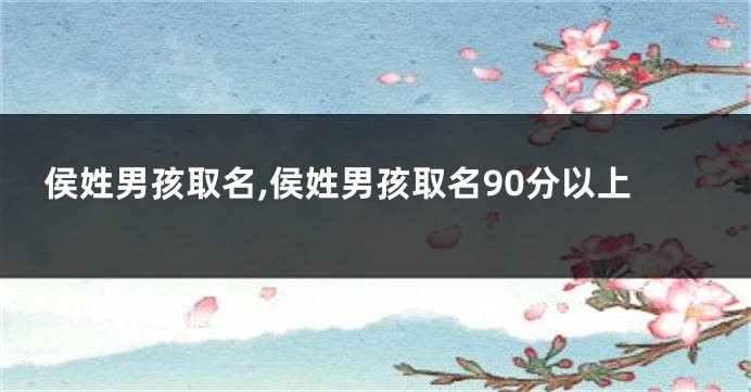 侯姓男孩取名,侯姓男孩取名90分以上