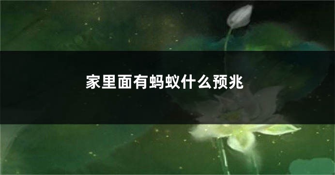 家里面有蚂蚁什么预兆