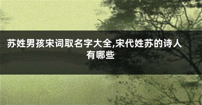苏姓男孩宋词取名字大全,宋代姓苏的诗人有哪些