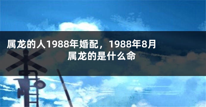 属龙的人1988年婚配，1988年8月属龙的是什么命