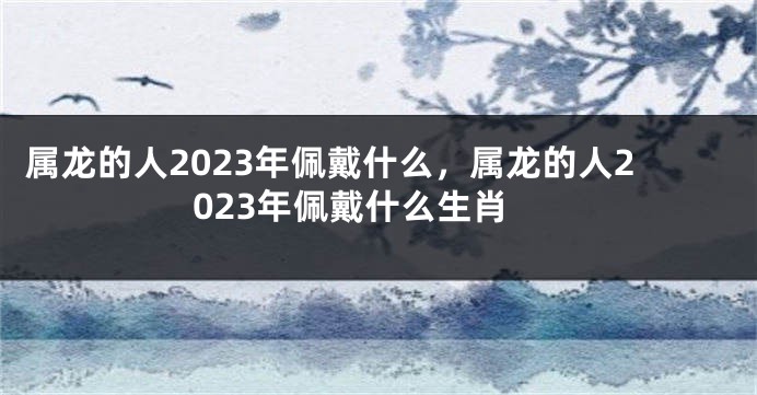 属龙的人2023年佩戴什么，属龙的人2023年佩戴什么生肖