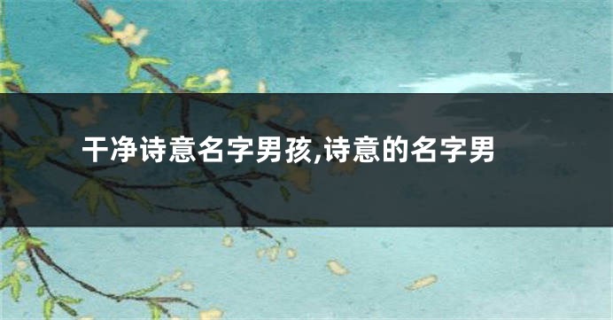干净诗意名字男孩,诗意的名字男