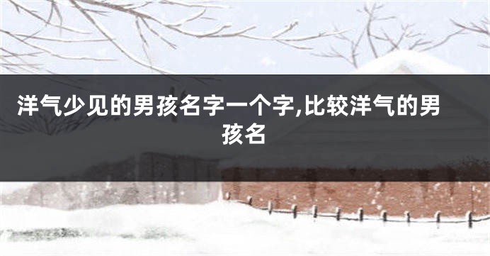 洋气少见的男孩名字一个字,比较洋气的男孩名