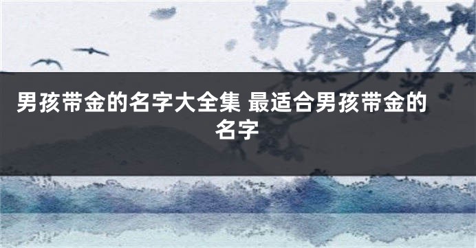 男孩带金的名字大全集 最适合男孩带金的名字