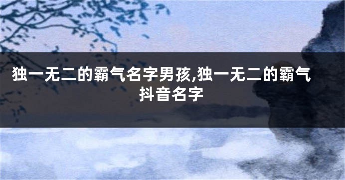 独一无二的霸气名字男孩,独一无二的霸气抖音名字