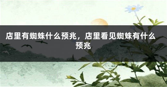 店里有蜘蛛什么预兆,店里看见蜘蛛有什么预兆