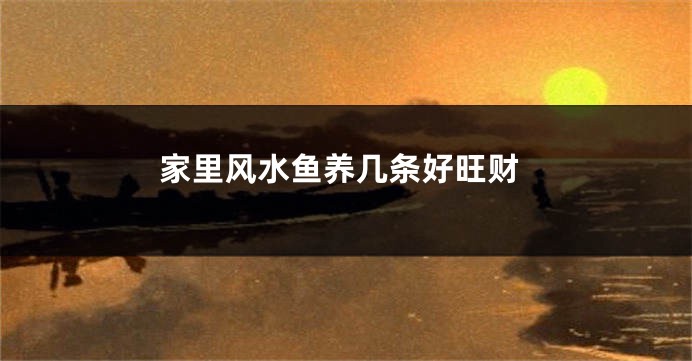 家里风水鱼养几条好旺财