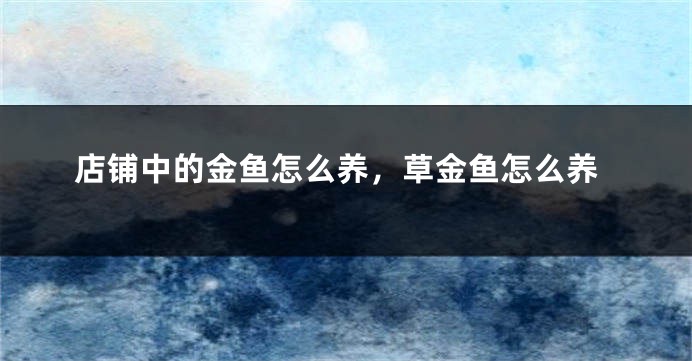 店铺中的金鱼怎么养,草金鱼怎么养