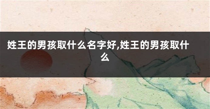 姓王的男孩取什么名字好,姓王的男孩取什么