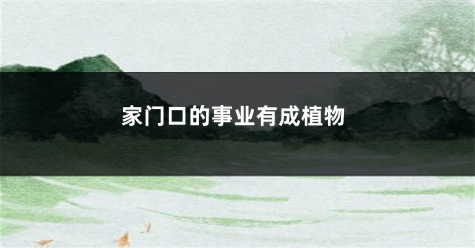 家门口的事业有成植物