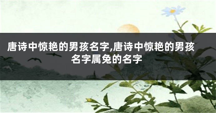 唐诗中惊艳的男孩名字,唐诗中惊艳的男孩名字属兔的名字