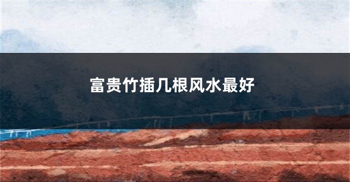 富贵竹插几根风水最好