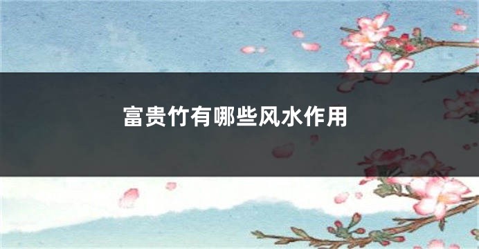 富贵竹有哪些风水作用