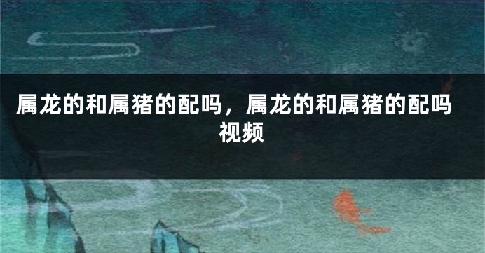 属龙的和属猪的配吗，属龙的和属猪的配吗视频
