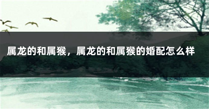属龙的和属猴，属龙的和属猴的婚配怎么样