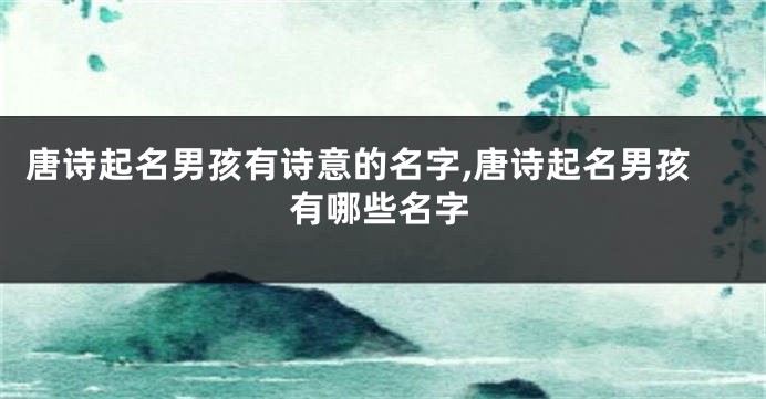 唐诗起名男孩有诗意的名字,唐诗起名男孩有哪些名字