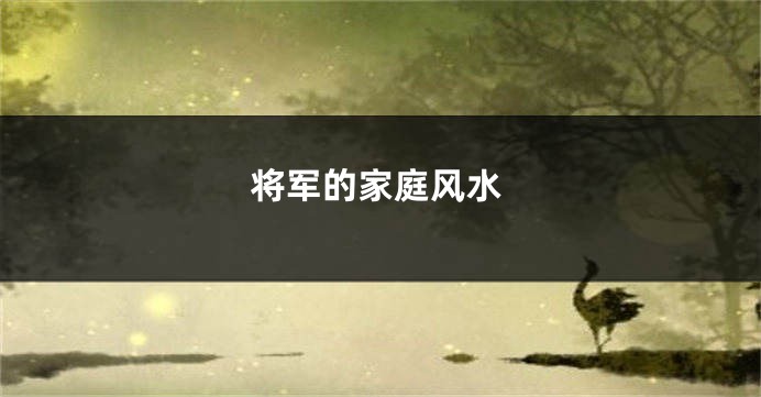 将军的家庭风水