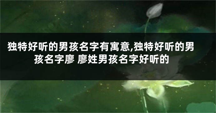 独特好听的男孩名字有寓意,独特好听的男孩名字廖 廖姓男孩名字好听的