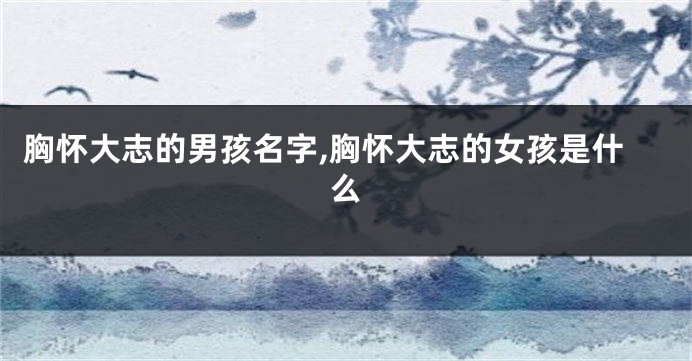 胸怀大志的男孩名字,胸怀大志的女孩是什么