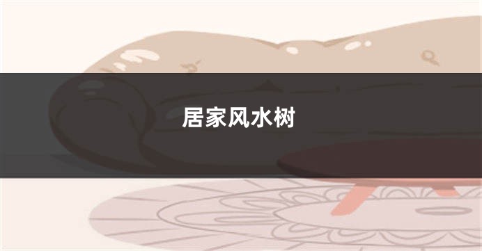 居家风水树