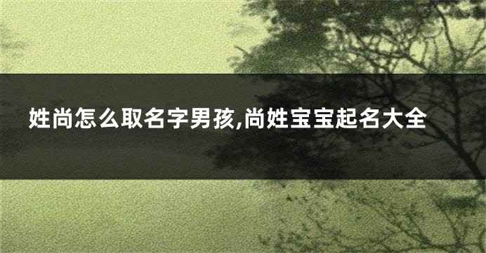 姓尚怎么取名字男孩,尚姓宝宝起名大全
