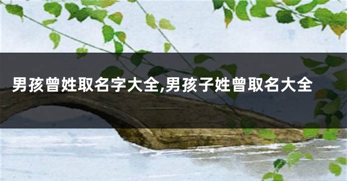 男孩曾姓取名字大全,男孩子姓曾取名大全